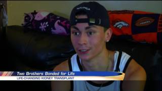 Two Brothers Bonded for Life after Kidney Transplant