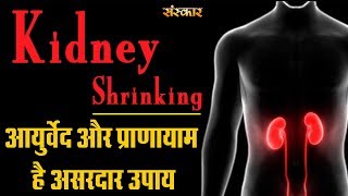 Kidney Shrinking | Acharya Balkrishna Ji | Health Tips