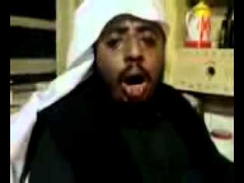 كلاب جهنم الوهابية 