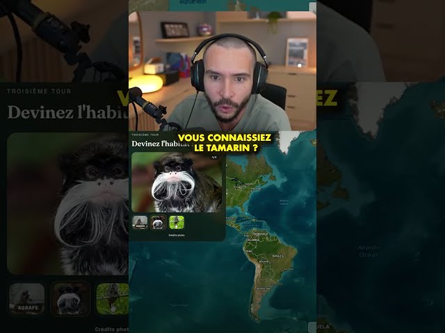 Vous connaissez le Tamarin ?