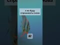 Забываешь слова Мы знаем как это исправить Все фразы на нашем YouTube канале Забываешь слова Мы знаем как это исправить Все фразы на нашем YouTube канале