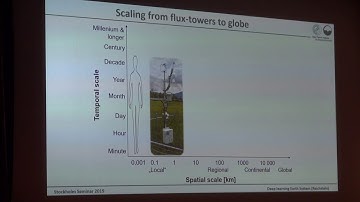 Markus Reichstein on deep learning  in Earth System science