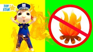 Dolly and Friends 3D | Kids are Playing with the Fire Truck