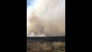 Incendio forestal en Cornudilla 6