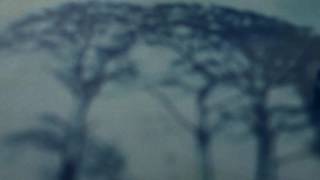 Video thumbnail of "Ralph Towner – Sand (from Solstice – Reissued on 180g Vinyl) | ECM Records"