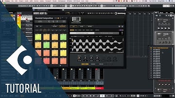 New Content, Instruments Enhancements and MIDI Functions | Walkthrough of the New Features in Cub