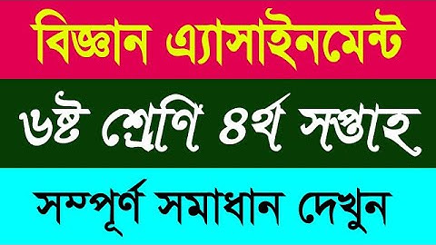 ৪র্থ সপ্তাহের ষষ্ঠ শ্রেণির বিজ্ঞান এ্যাসাইনমেন্ট সমাধান | Class 6 Science Assignment Answer.