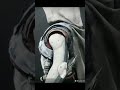 Destiny2 Xur en esta semana #Shorts #destiny2 #gaming #destiny2lightfall
