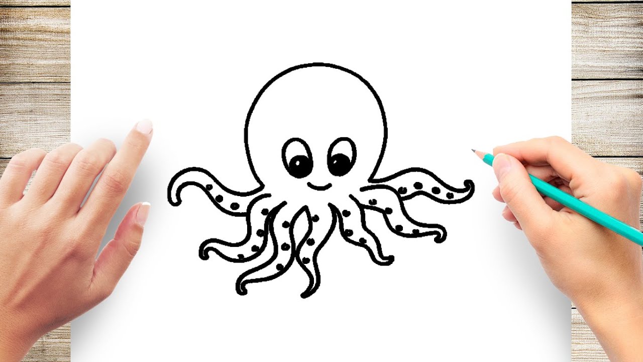 drawings of octopus