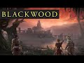 ESO BLACKWOOD - NEW Music OST! (Part 2 - Moss on the Cobblestones) Elder Scrolls Online Soundtrack
