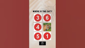 memory test #improveenglishskills #animal #memorytest