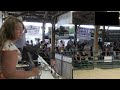 Youth Livestock sale - Sheridan County Fair