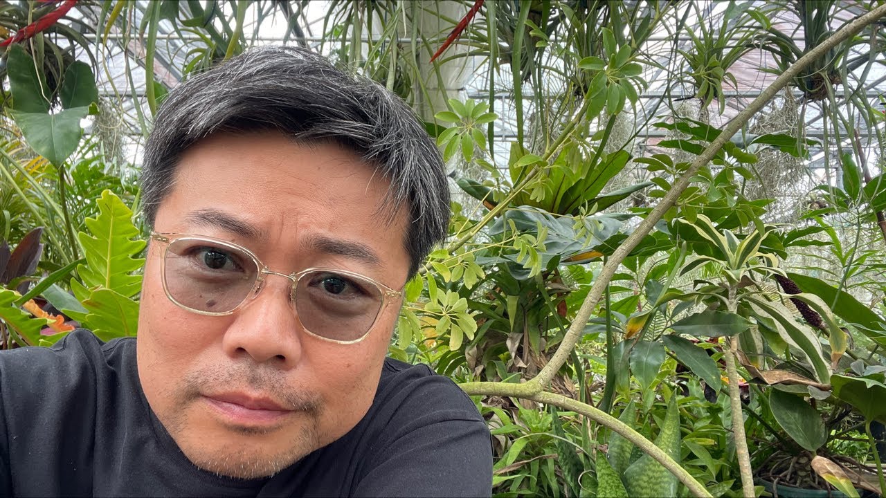 植物の梱包方法について解説 - YouTube