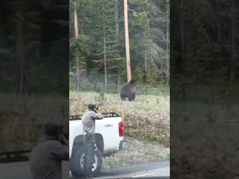 Video: Telli Babas mauzolejs Stambulā: vieta, kur cilvēki ierodas, lai atrastu personīgo laimi