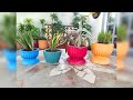 Cómo i hacer una maceta de yeso con material de reciclaje , manualidad, fácil 🥰