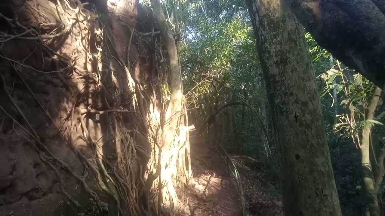 Exploring Karura Forest in Nairobi , it's caves, waterfall and it's picnic sites