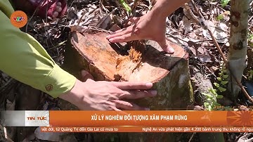 XỬ LÝ NGHIÊM ĐỐI TƯỢNG XÂM PHẠM RỪNG | VTV5
