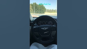 In and out of the roundabout Openpilot