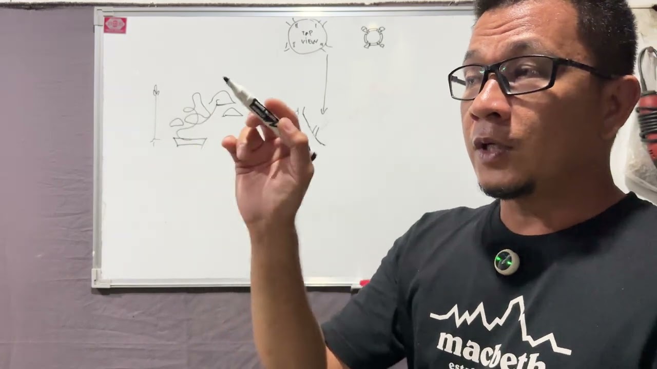 Vlog#19 hibiscus from cuttings🌳