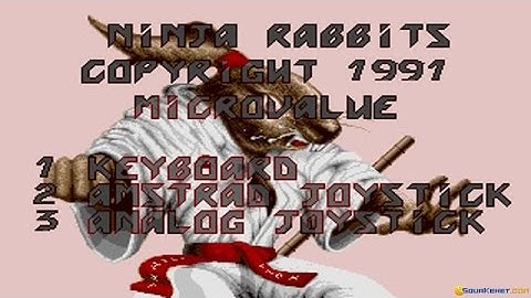 Ninja Rabbits gameplay (PC Game, 1991)