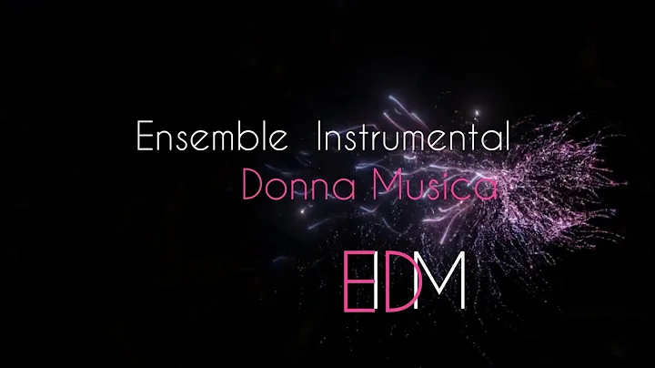 Ensemble Instrumental Donna Musica ~ Triple concerto de Beethoven