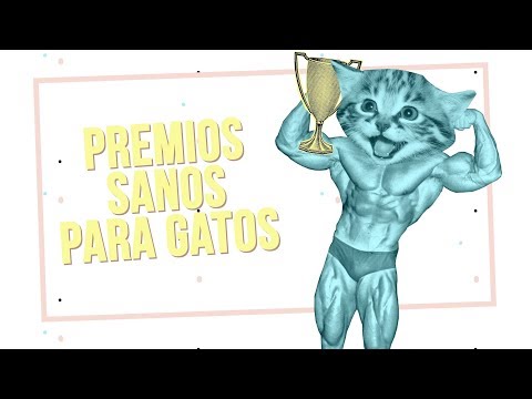 PREMIOS SALUDABLES para GATOS | 🏆🔝 Ranking calidad-precio