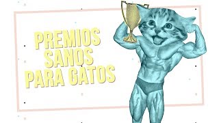 PREMIOS SALUDABLES para GATOS |  Ranking calidadprecio