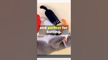 Cats Went CRAZY for These 3 Catnip Toys (Under $20)