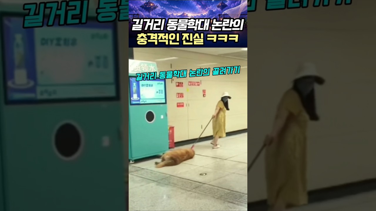 길거리 동물학대 논란의 충격적인 진실 ㅋㅋㅋ #강아지 #대환장파티