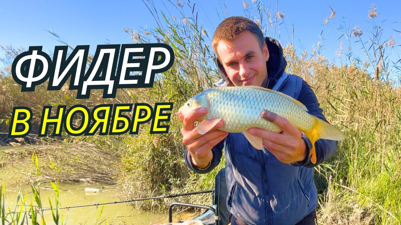 Караси и сазаны гнут фидер в конце ноября! Рыбалка на фидер! Как ловить по холодной воде?