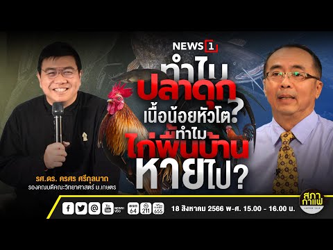 ทำไมปลาดุกเนื้อน้อยหัวโต? ทำไมไก่พื้นบ้านหายไป? : สภากาแฟเวทีชาวบ้าน 18-08-66