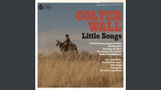 Video thumbnail of "Colter Wall - For a Long While"