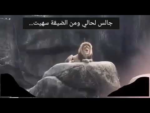 جالس لحالي ومن الضيجة سهيت وين الخوي اليفزع مستميت