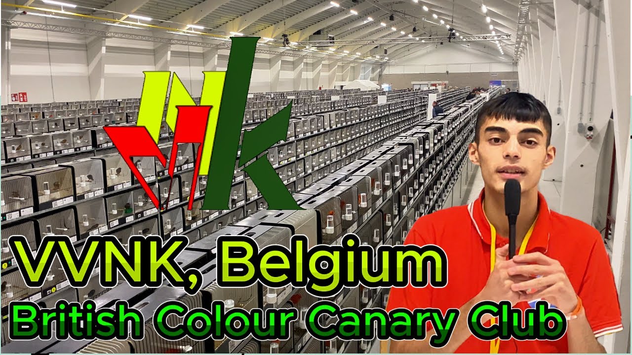 Europe's Largest Bird Show VVNK, Belgium