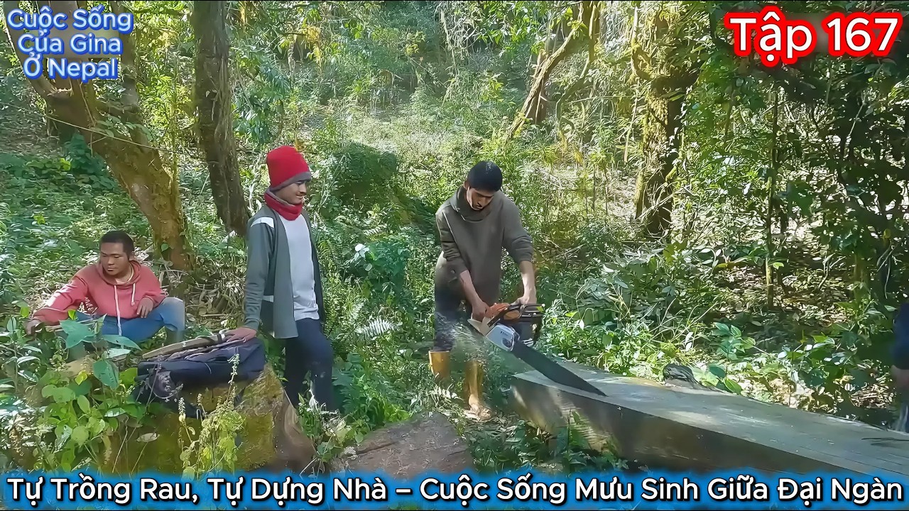 GINA Tập 167 - Tự Trồng Rau, Tự Dựng Nhà – Cuộc Sống Mưu Sinh Giữa Đại Ngàn