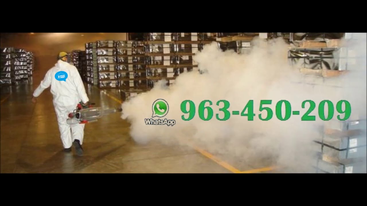 Servicio de Fumigación en Lima 😷 - YouTube