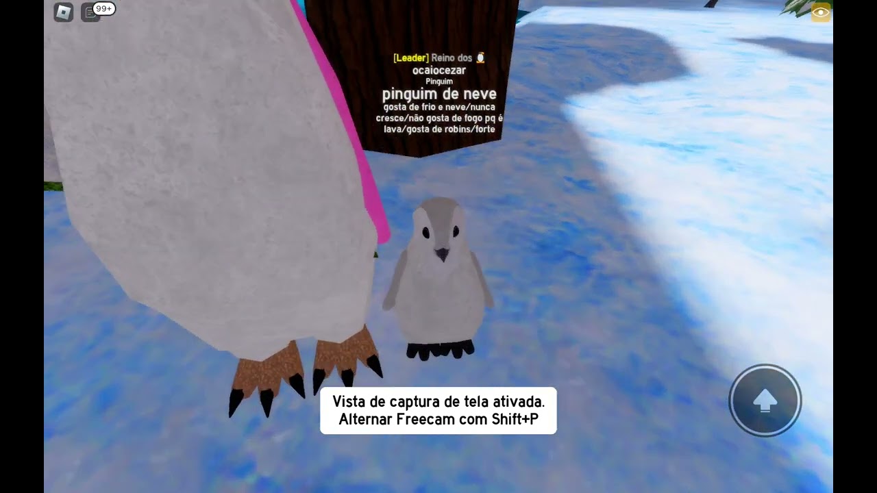 Reino dos Pinguins 🐧 (no feather family)