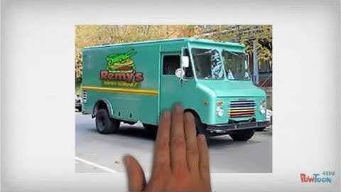 Qualitative & Quantitative Data