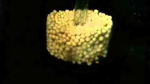 Tlf biopellets reactor