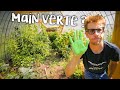 Altitude 1050m et legumes dete   passion rnovation ep66  jardin diy timelapse