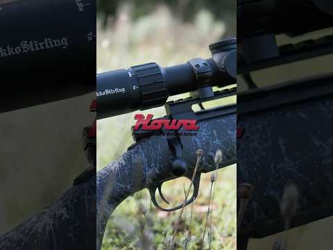 HOWA SUPER LITE NIKKO STIRLING BOAR EATER Hunting Howa Hunt 