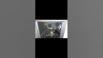 HOARDING BUG oddaje ITEMY? - Lethal Company #shorts