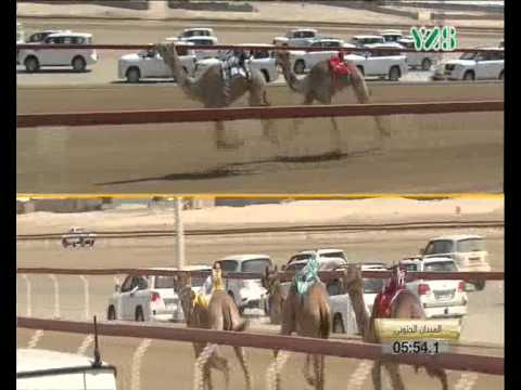 الشوط الثاني والناموس ل سالم الدهيمي بن غافان الخييلي بفوز شاهين بشداد إيذاع الجعدان