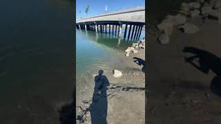 San Diego Halibut fishing