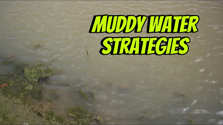 Top Strategies For Fishing In Muddy /Dirty Water…