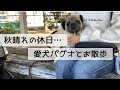 苦楽を共にしてきた愛犬…少しでも長く一緒にいたい気持ち。ワンコ用品のお気に入り紹介！
