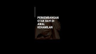 Otak Janin Untuk Masa Depan Anak
