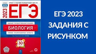 ЕГЭ Рохлов 2023 задания с рисунком!