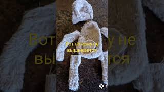 Sdzenvideowatch64C229226F5C4C6C6004F857