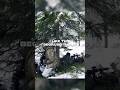 The Best All-Season Shelter According to Finnish Special Forces